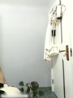 海报背景