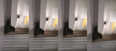 全国探花 200810 2020-2-26-125封面图