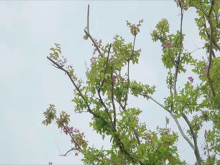 海报背景