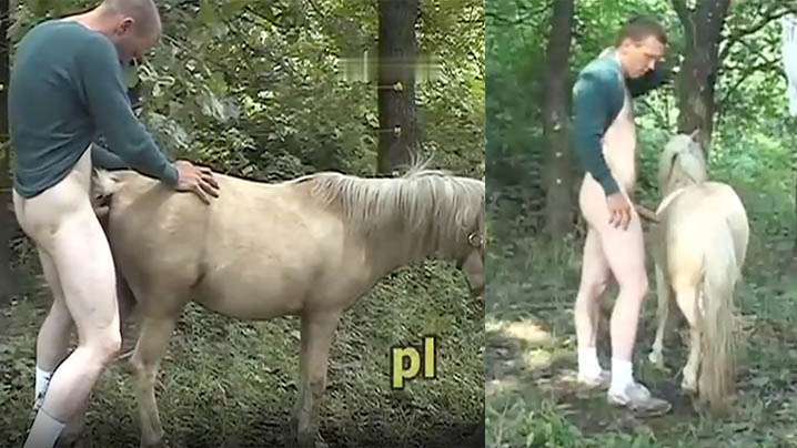 【户外干小马】小马乖乖被干没有任何不适。封面图