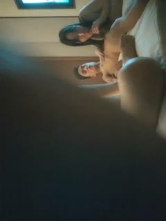 四对夫妻酒店淫乱，年轻貌美逼受罪，大家都喜欢干她.封面图