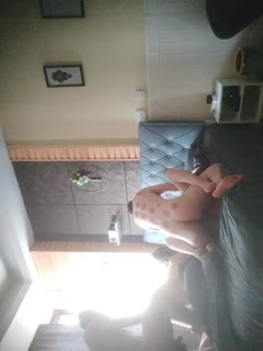 两对夫妻换妻活动，这次活动由于有一个绿帽老公_由于鸡巴阳痿了全程拿着相机拍摄，还找两个领导一起操老婆。绿帽老公只在旁边辅助，看老婆被操的结合处。(2).封面图