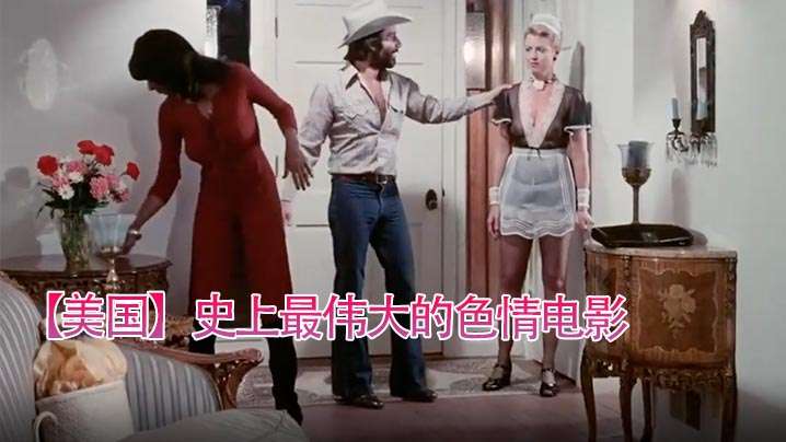 【美国】史上最伟大色情电影3。封面图
