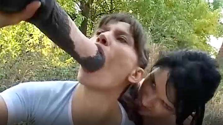 【骚货觊觎马鸡巴】俩骚货用马鸡巴解闷。封面图