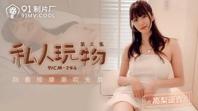 【91制片厂】91CM246 私人玩物 第三集高梨遥香.封面图
