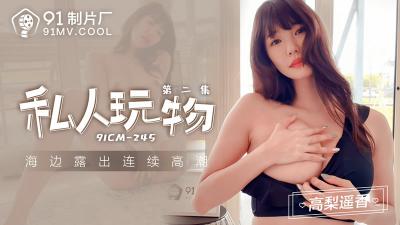 【91制片厂】91CM245 私人玩物 第二集高梨遥香.封面图
