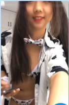 好聪明的小猫会跳舞封面图