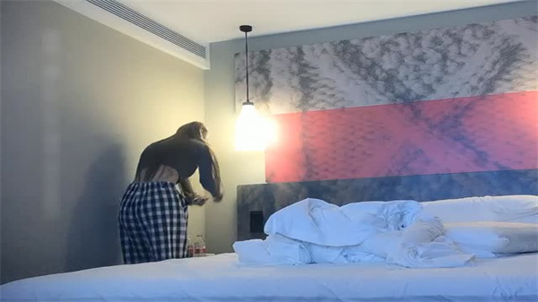 极品御姐一米七五高挑大长腿封面图